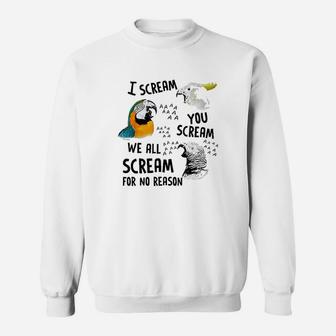 I Scream You Scream Parrot Sweatshirt | Crazezy