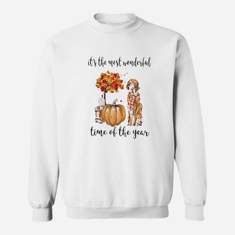 It Is The Most Wonderful Time Of The Year Sweatshirt | Crazezy CA