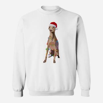Italian Greyhound Christmas Lights Xmas Dog Lover Sweatshirt | Crazezy AU