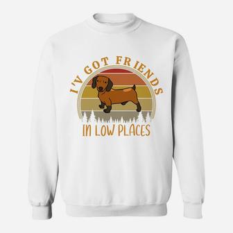 I've Got Friends In Low Places Funny Dachshund Dog Lovers Sweatshirt Sweatshirt | Crazezy
