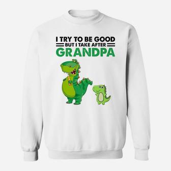 Kids I Try To Be Good But I Take After My Grandpa Dinosaur Sweatshirt | Crazezy UK