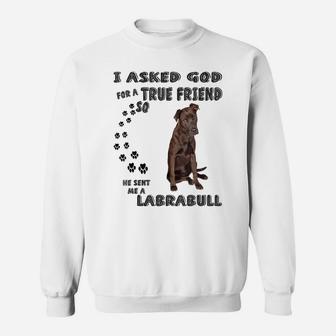 Labrabull Saying Mom Dad Costume, Cute Pitbull Lab Mix Dog Sweatshirt | Crazezy