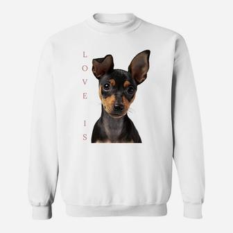 Miniature Pinscher Shirt Dog Mom Dad Tshirt Love Puppy Pet Sweatshirt | Crazezy