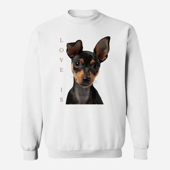 Miniature Pinscher Shirt Dog Mom Dad Tshirt Love Puppy Pet Sweatshirt Sweatshirt | Crazezy DE