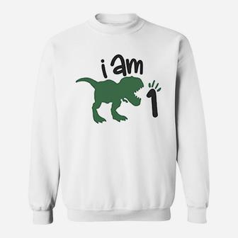 One Birthday Dinosaur For Boys First Birthday Dinosaur Outfit Sweatshirt | Crazezy AU