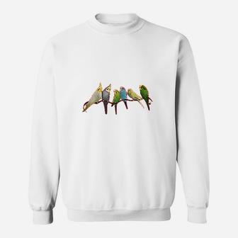Parakeets & Cockatiels Sweatshirt | Crazezy UK