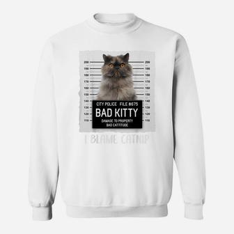 Persian Cat Lovers Funny Gift For Women Sweatshirt | Crazezy AU