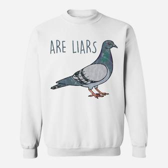 Pigeons Are Liars Aren't Real Spies Birds Pun Sweatshirt | Crazezy DE