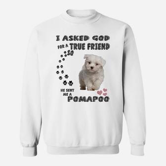Pooranian Dog Mom, Pompoo Dad Pomeroodle Print, Cute Pomapoo Sweatshirt | Crazezy DE