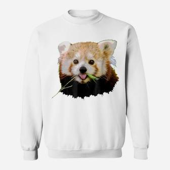 Red Panda Tshirt Funny Gift Sweatshirt | Crazezy