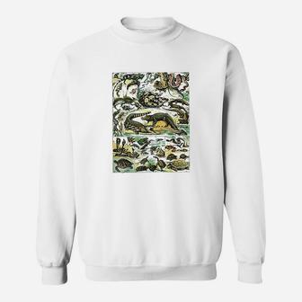Reptiles Collection Chart Turtle Snake Species Vintage Sweatshirt | Crazezy