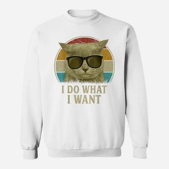Retro 80S 90S Cat Lovers Funny I Do What I Want Cat Sweatshirt | Crazezy DE