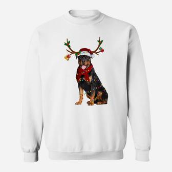 Santa Rottweiler Reindeer Light Christmas Gifts Sweatshirt Sweatshirt | Crazezy
