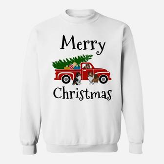 Sheltie, Sheltie Gifts, Sheltie Christmas Merry Christmas Sweatshirt | Crazezy DE