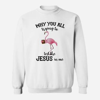 Why You All Trying To Test The Jesus In Me Flamingo Shirt Sweatshirt - Thegiftio UK