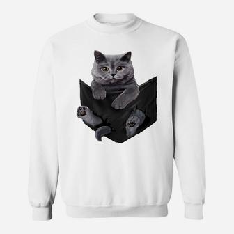 Womens Cat Lovers Gifts British Shorthair In Pocket Funny Kitten Sweatshirt | Crazezy CA