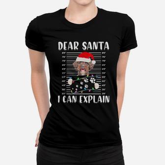Dear Santa I Can Exxplain Women T-shirt - Monsterry UK