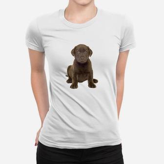 Chocolate Lab Puppy Women T-shirt | Crazezy