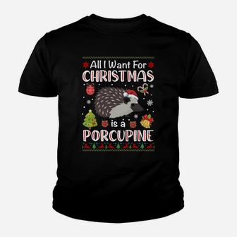 All I Want Is A Porcupine For Christmas Ugly Xmas Pajamas Sweatshirt Youth T-shirt | Crazezy AU
