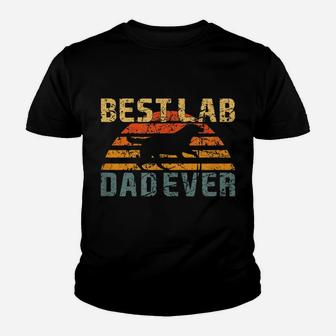 Best Lab Dad Ever Retro Vintage Labrador Dog Father Youth T-shirt | Crazezy