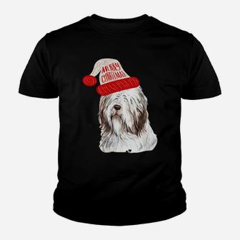 Black Base Bearded Collie Christmas Gift For Dog Lovers Sweatshirt Youth T-shirt | Crazezy