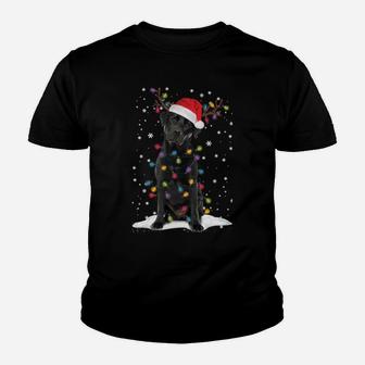 Black Lab Labrador Christmas Tree Light Pajama Dog Xmas Gift Sweatshirt Youth T-shirt | Crazezy DE