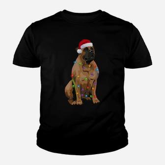 Boerboel Christmas Lights Xmas Dog Lover Santa Hat Youth T-shirt | Crazezy CA