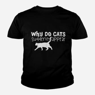 Cat Lover Funny Gift Why Do Cats Suddenly Appear Youth T-shirt | Crazezy