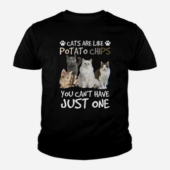 Cats Are Like Potato Chips You Can Not Have Just One Funny Sweatshirt Youth T-shirt | Crazezy CA