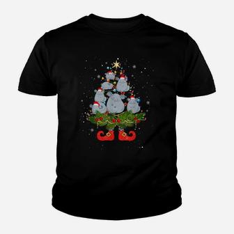 Chinchillas Christmas Tree Lights Funny Santa Hat Lover Youth T-shirt | Crazezy CA