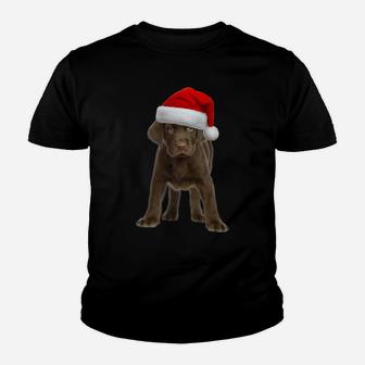 Chocolate Lab Shirt Dog Labrador Retriever Christmas Gift Youth T-shirt | Crazezy