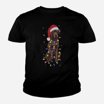 Chocolate Labrador Wear Santa Hat Christmas Fairy Lights Youth T-shirt | Crazezy AU