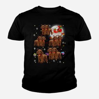 Christmas Cute Santa Claus Riding Goldendoodle Xmas Pajamas Sweatshirt Youth T-shirt | Crazezy DE