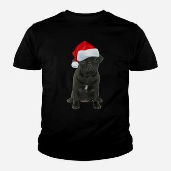 Cute Black Pug Shirt Santa Hat Image Funny Christmas Gift Youth T-shirt | Crazezy