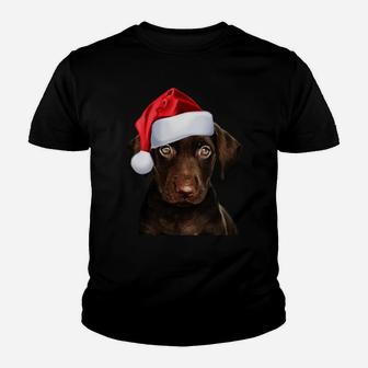 Cute Chocolate Lab Santa Hat Image Funny Dog Christmas Gift Youth T-shirt | Crazezy