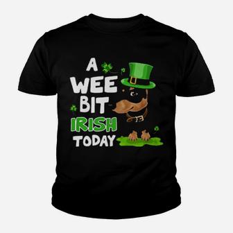 Dachshund A Wee Bit Irish Today Youth T-shirt - Monsterry