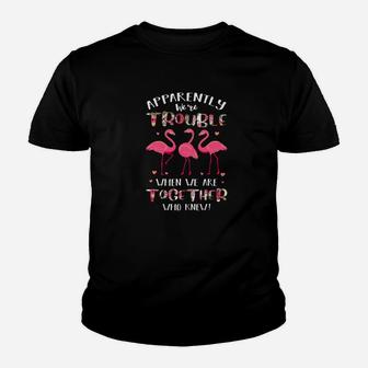Flamingo Shirt Apparently Were Trouble When We Are Together Youth T-shirt - Thegiftio UK