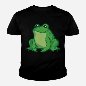 Frogs Make Me Happy You Not So Much Funny Frog Gift Youth T-shirt | Crazezy