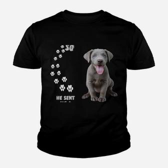 Fun Labrador Retriever Dog Mom Dad Costume, Cute Silver Lab Sweatshirt Youth T-shirt | Crazezy UK