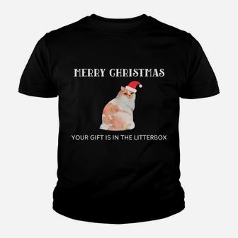 Funny Cat Litterbox Christmas Top For Cat Lovers Youth T-shirt | Crazezy