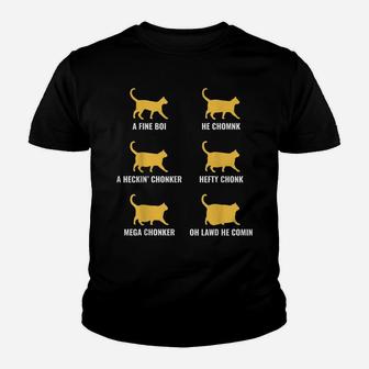 Funny Cat Meme Chonk Cat Evolution Chart For Cat Lover Youth T-shirt | Crazezy