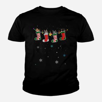 Funny Cats In Socks Christmas Cat Lovers Xmas Sweater Youth T-shirt | Crazezy