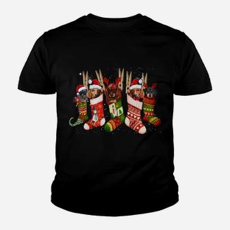 Funny Dachshund Dog In Christmas Sock Santa Hat Xmas Dog Sweatshirt Youth T-shirt | Crazezy DE