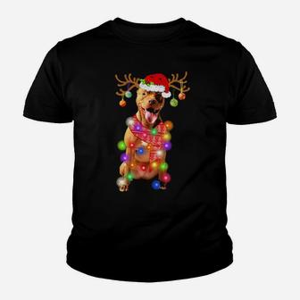 Funny Pitbull Santa Hat Xmas Lights Dog Youth T-shirt - Monsterry UK