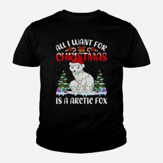 Funny Santa Hat All I Want For Christmas Is A Arctic Fox Youth T-shirt | Crazezy UK