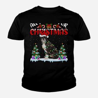 Funny Santa Hat All I Want For Christmas Is A Boston Terrier Youth T-shirt | Crazezy