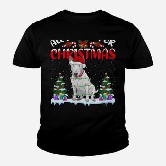 Funny Santa Hat All I Want For Christmas Is A Bull Terrier Youth T-shirt | Crazezy