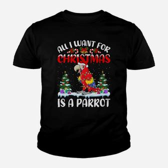Funny Santa Hat All I Want For Christmas Is A Parrot Youth T-shirt | Crazezy UK