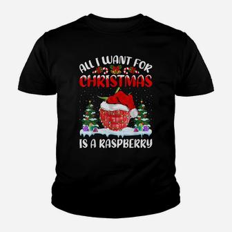 Funny Santa Hat All I Want For Christmas Is A Raspberry Youth T-shirt | Crazezy CA
