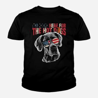 Great Dane Funny 4Th Of July Pup Youth T-shirt - Monsterry
